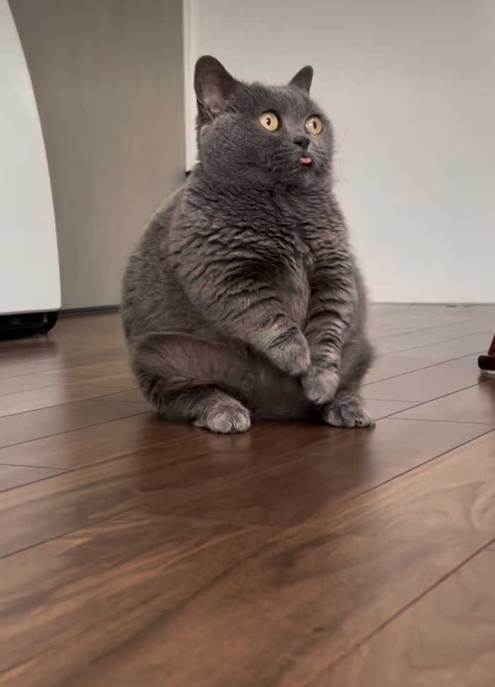   , , 