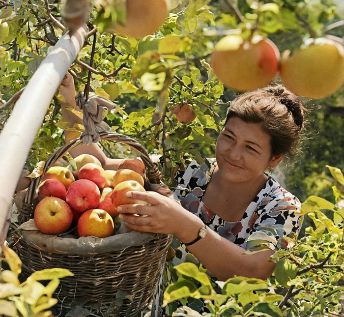 Фотограф: Куйдин Юрий.