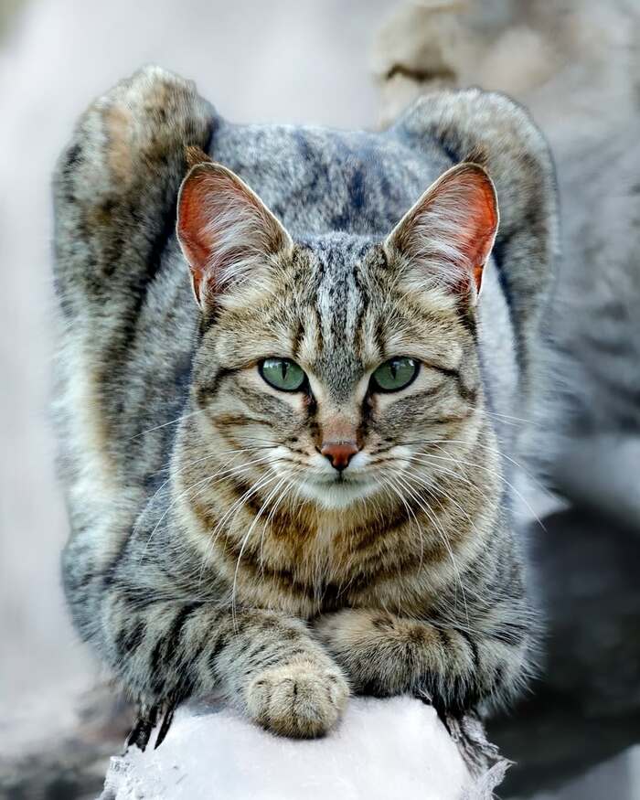    ,  ,  ,  ,  ,  ,   ,  , 