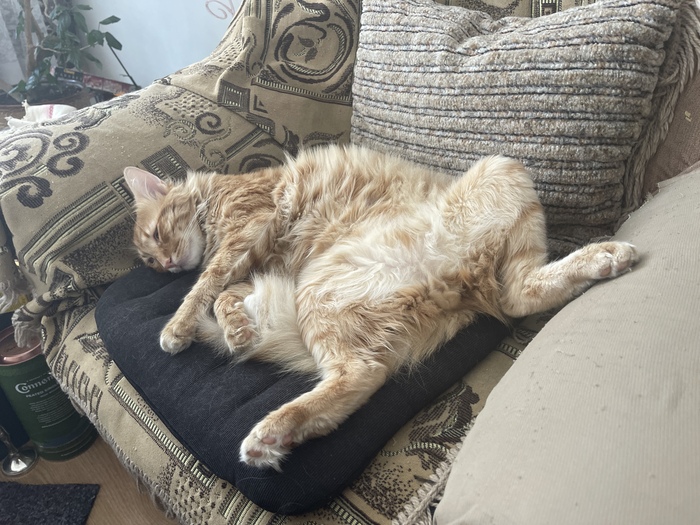 ����������� �� ��� ����