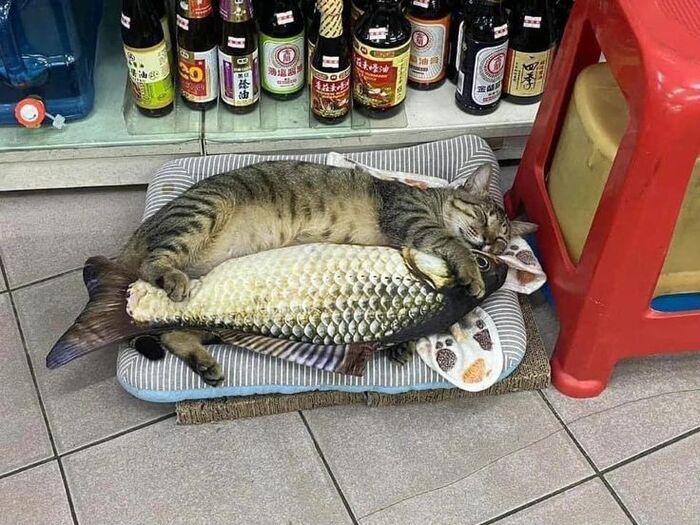    ? ,  , , ,   ?,  , , , , ,  , 