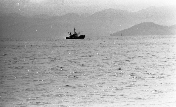  1979 . :  , 70-, -, , , , 