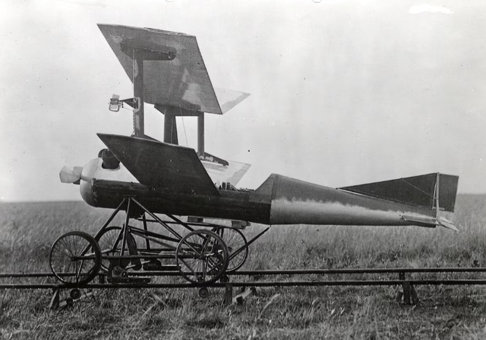 ���� ����������