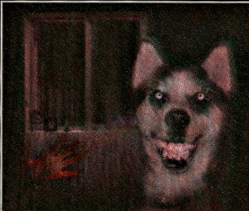 !!   !