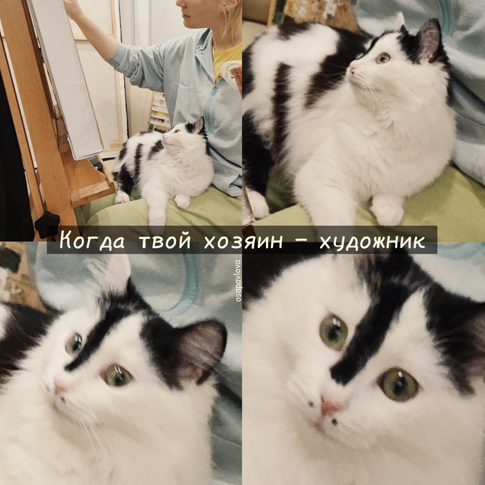 POV:      , 
