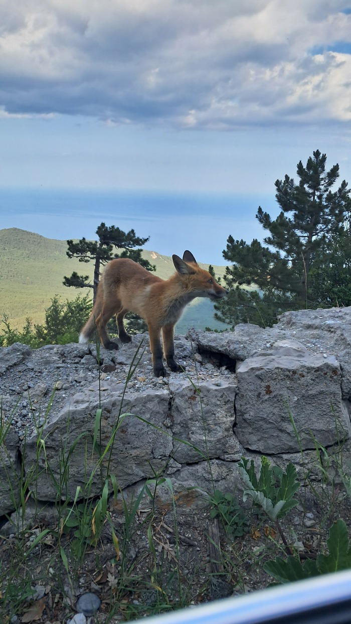 ����� ������ � ����� �� ������ �� ������ � ���� ��-�����