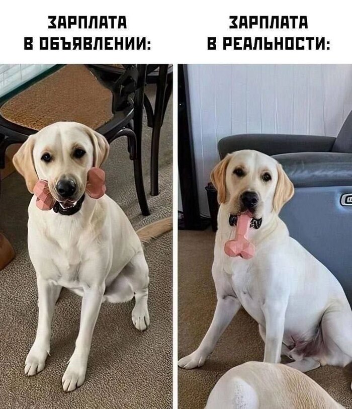         ,  , , , , , ,   