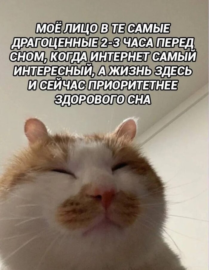    , ,   