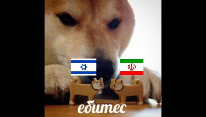    :