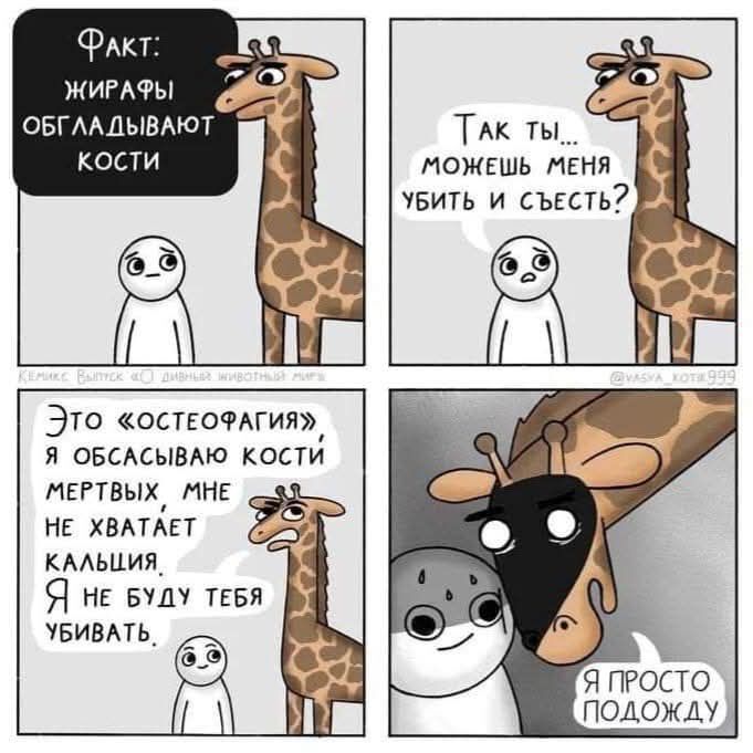   , , , ,  , , 