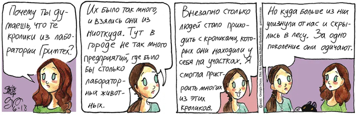 Котейкины Новости от 18.06.2025