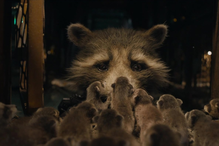  .  3 (2023) | 9/10 ,  ,  , , ,  Marvel