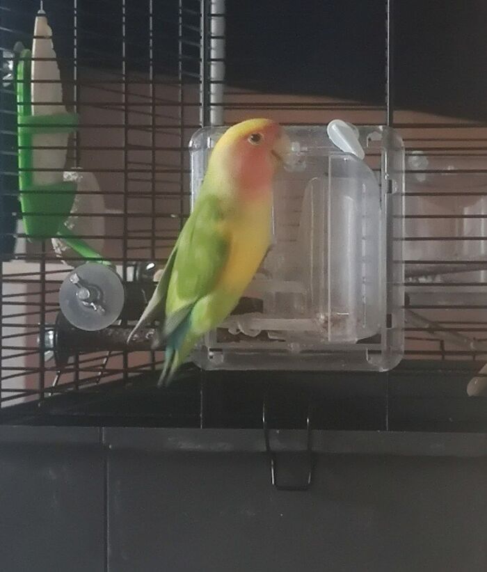     , ,  , 