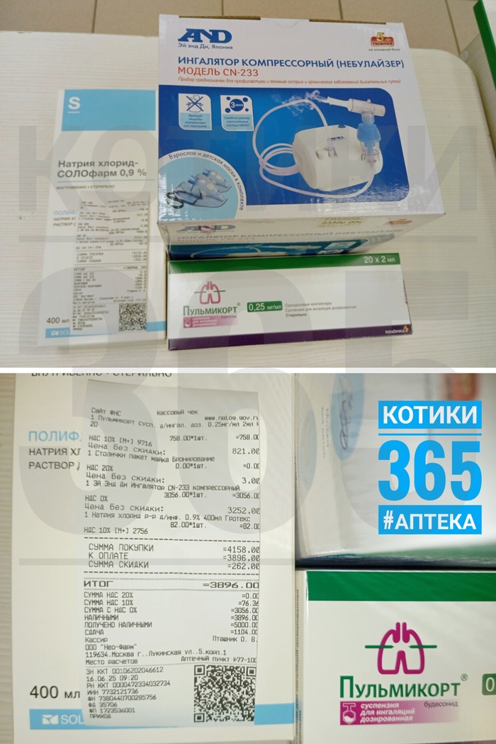 Филипп и Тоша 15.06.2025