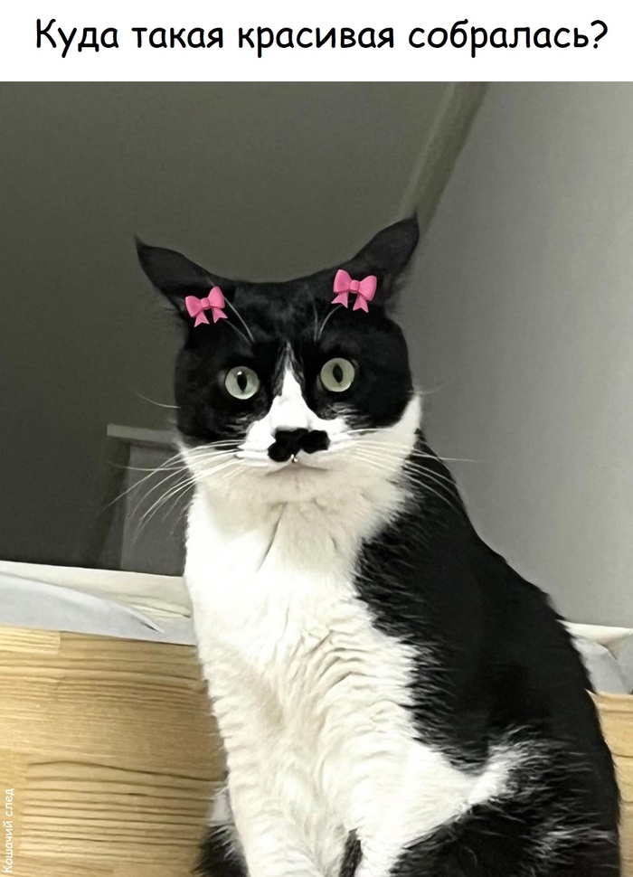  ,  ,  (),   , 