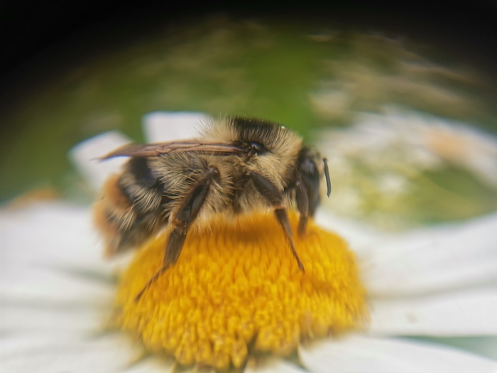    , , , ,  , 