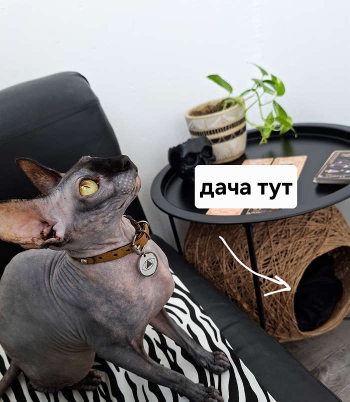 ��� � ������� ������������� ��������