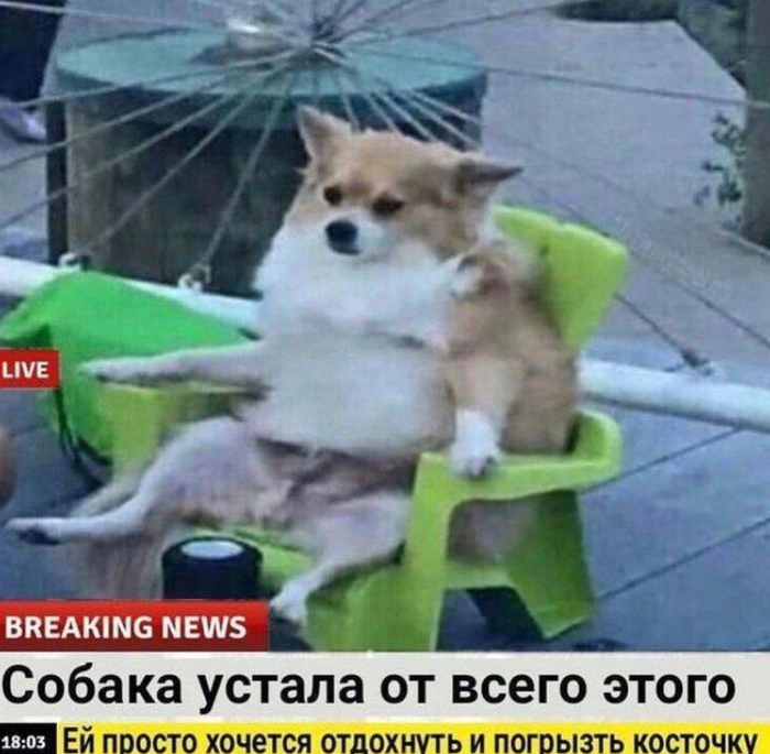      ?)