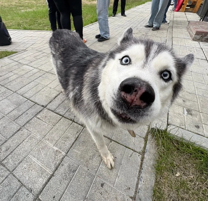 bnjcictn.webp