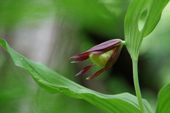 Фото О. Калининой.
