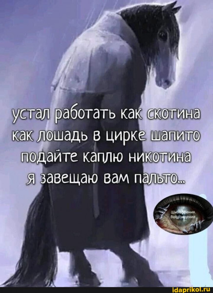    , , , , 