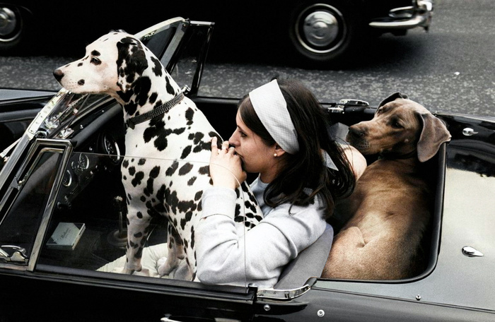 ��������: ����� �� �����