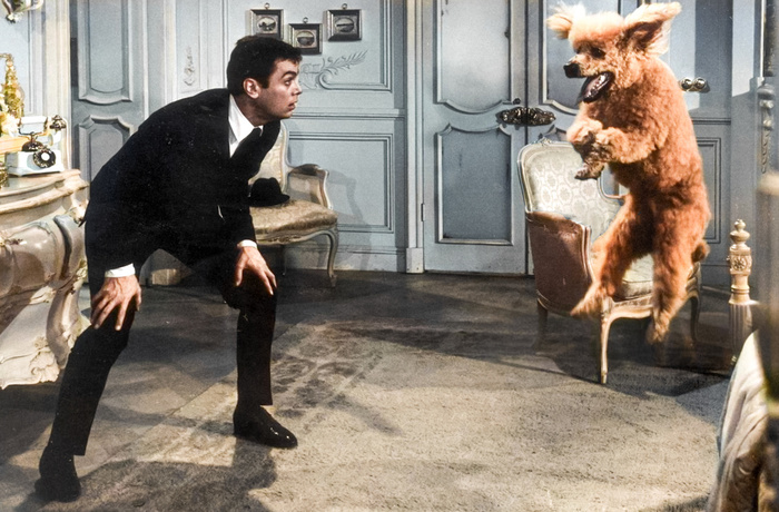 ��������: ����� ����