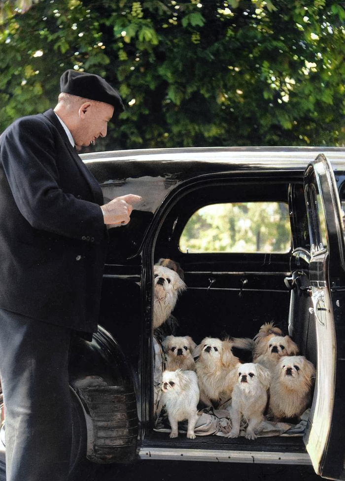 ��������: ����� �����.