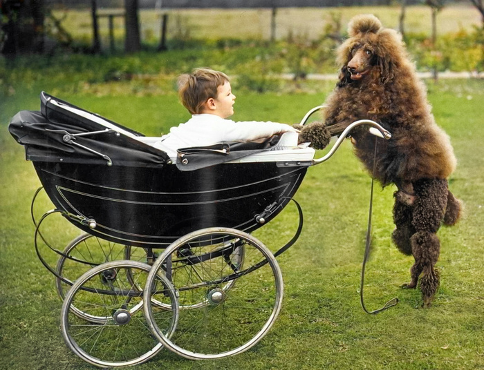 ��������: ������ ���������