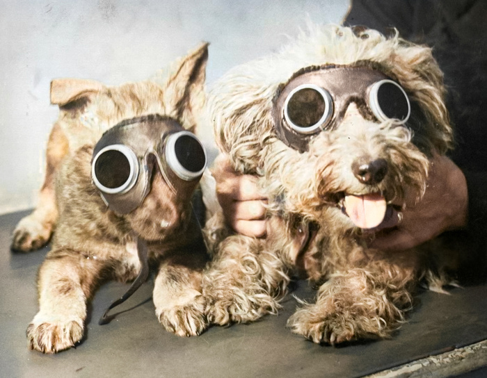 ��������: ����� ����