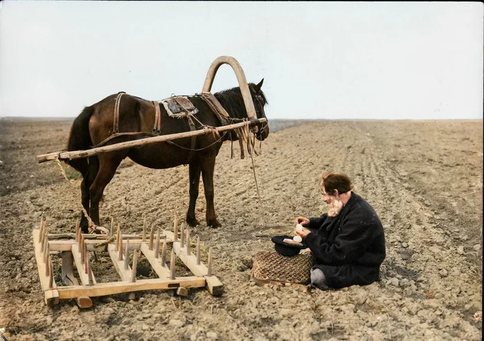 Подборка интересных и необычных фотографий Российской Империи. 20 раскрашенных фотографий. Часть XIV 20 век, 19 век, Старое фото, Историческое фото, Фотография, Российская империя, История России, Колоризация, Длиннопост