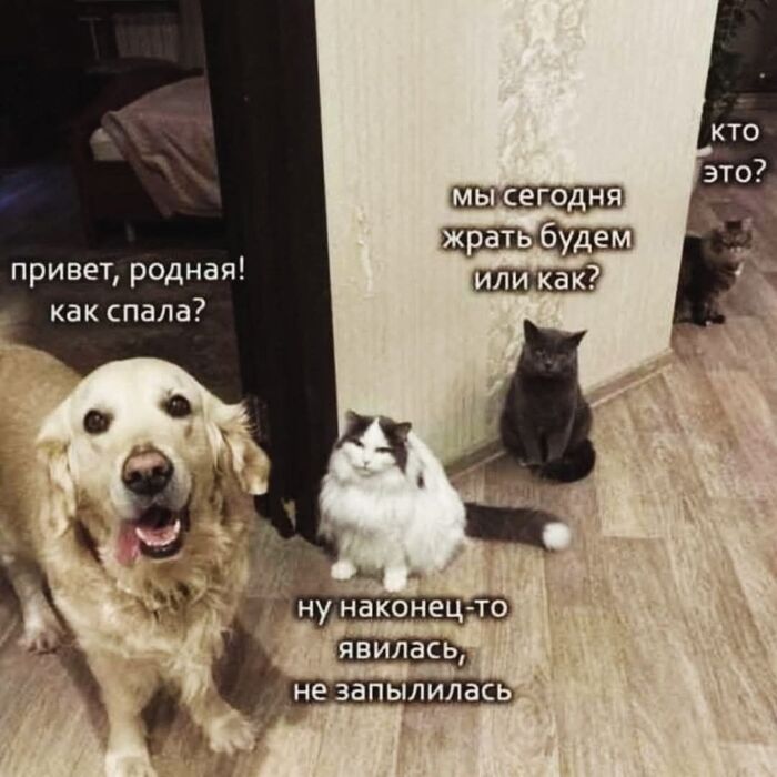   .    ? )) , ,  ,    ,   