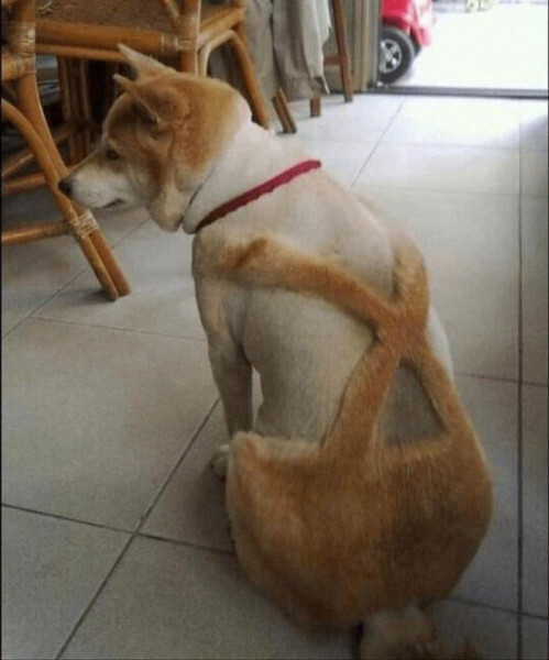  ...  , , , ,   , 