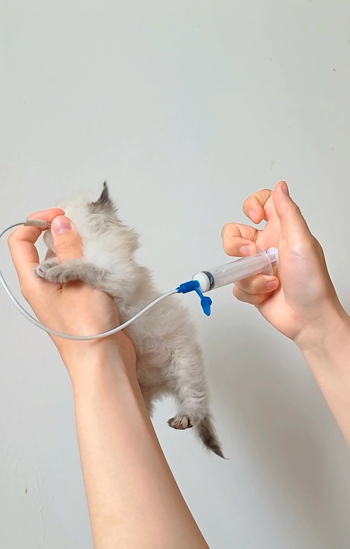    ,     ,  , , , , , , ,  ,  , 