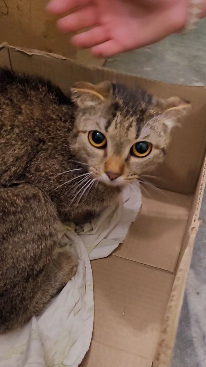 Вот так ее вынесли в подъезд