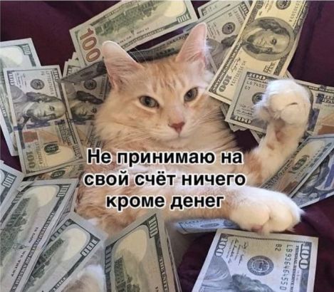 ���� � ��������!