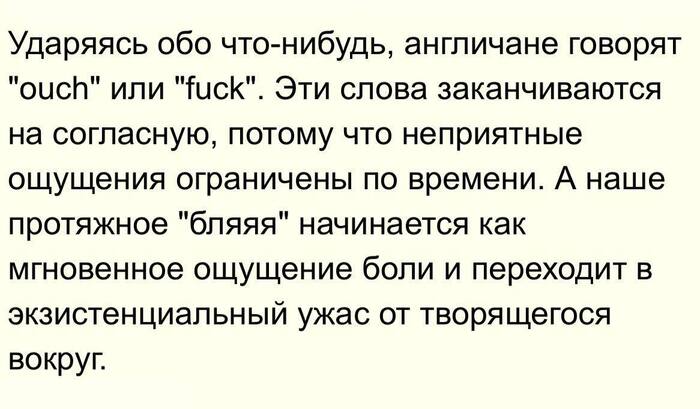     ,  ,  , , Telegram (), , 