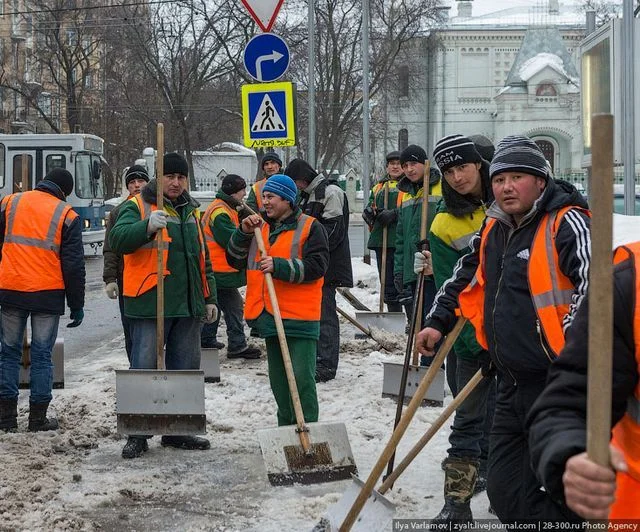 Куда делась вторая половина??? - Мигранты, МВД, Россия, Вопрос, Спроси Пикабу