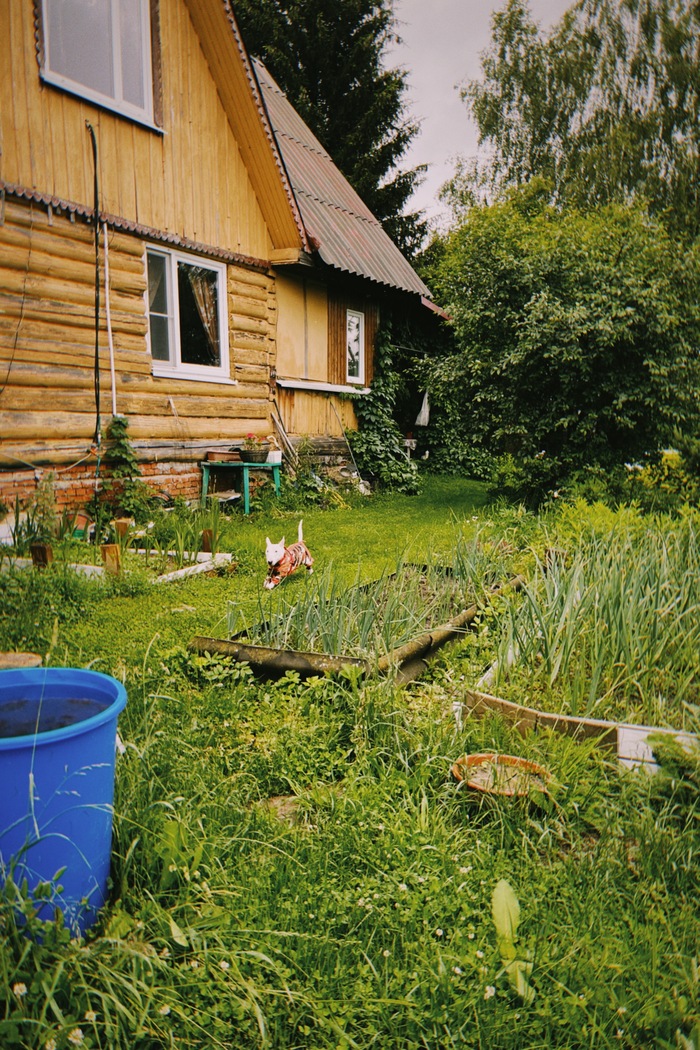 Колян тоже раздает стиль)