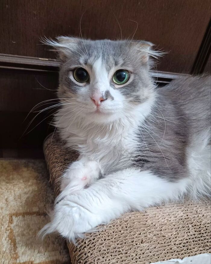  ,           , , ,  ,  , ,  , ,  , ,   ,  ,  , ,  , 