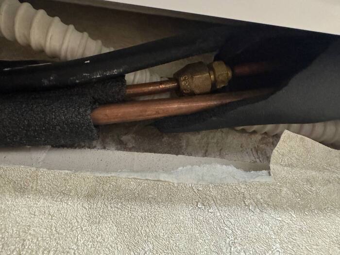 ����� ���� ��� �������� ����� ���