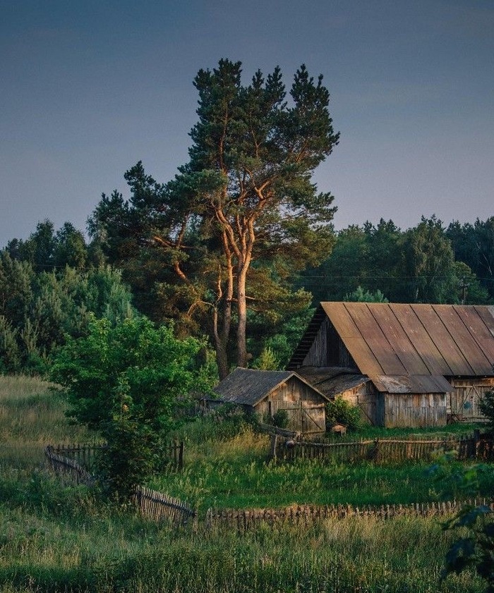 -13.  2. Pereculum in mora CreepyStory, ,  , , , , ,  , , 