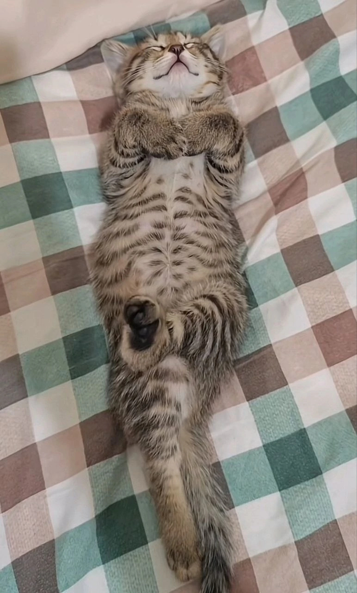  , , , , , ,  ,  