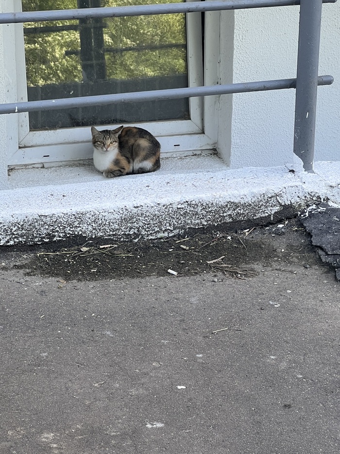     ,     , , , , , ,   , , ,  ,  , , ,  ,  , 