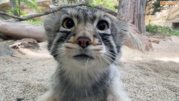 А чего вы это тут едите?