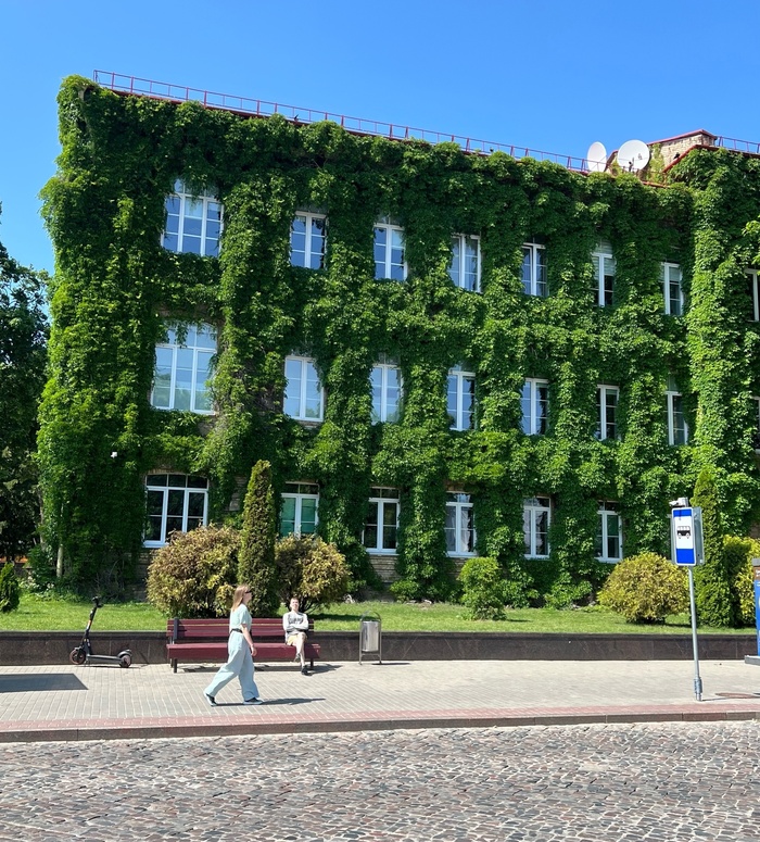 ������ �������� �������. ���������� �����.