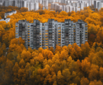 �����������