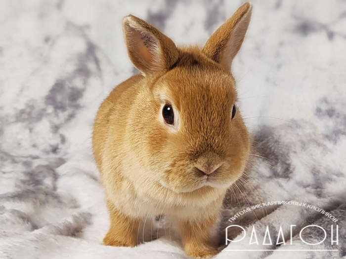 А вот мать не испугалась, мать знает когда дети дуркуют