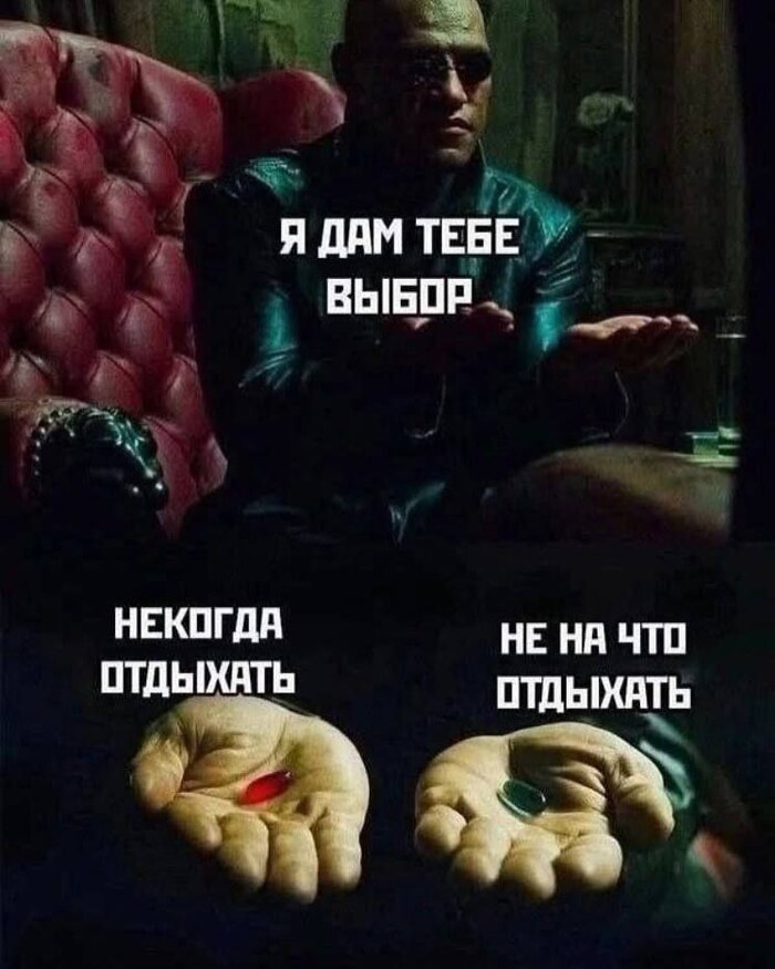  ... ,  , ,   , Telegram (),    ?, 