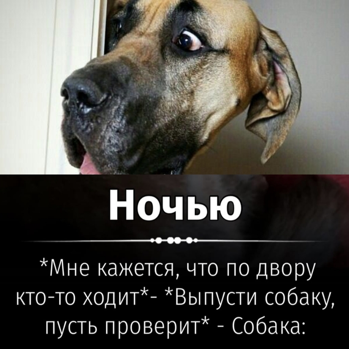  -  ? , ,  , , , , , , 